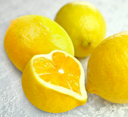 小嶋陽菜さん紹介＞＞謎の『ハート型レモン』でレモネード！作り方の